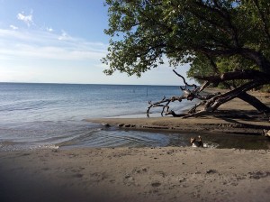 The Beach at Banuale