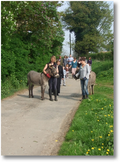 donkeys in lane