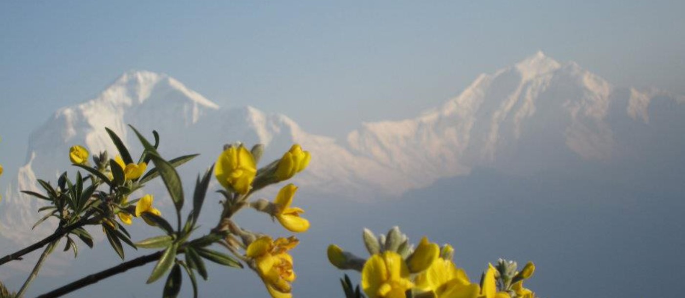 Everest photo by Bhim Bahadar Sunawar Nepalese guide